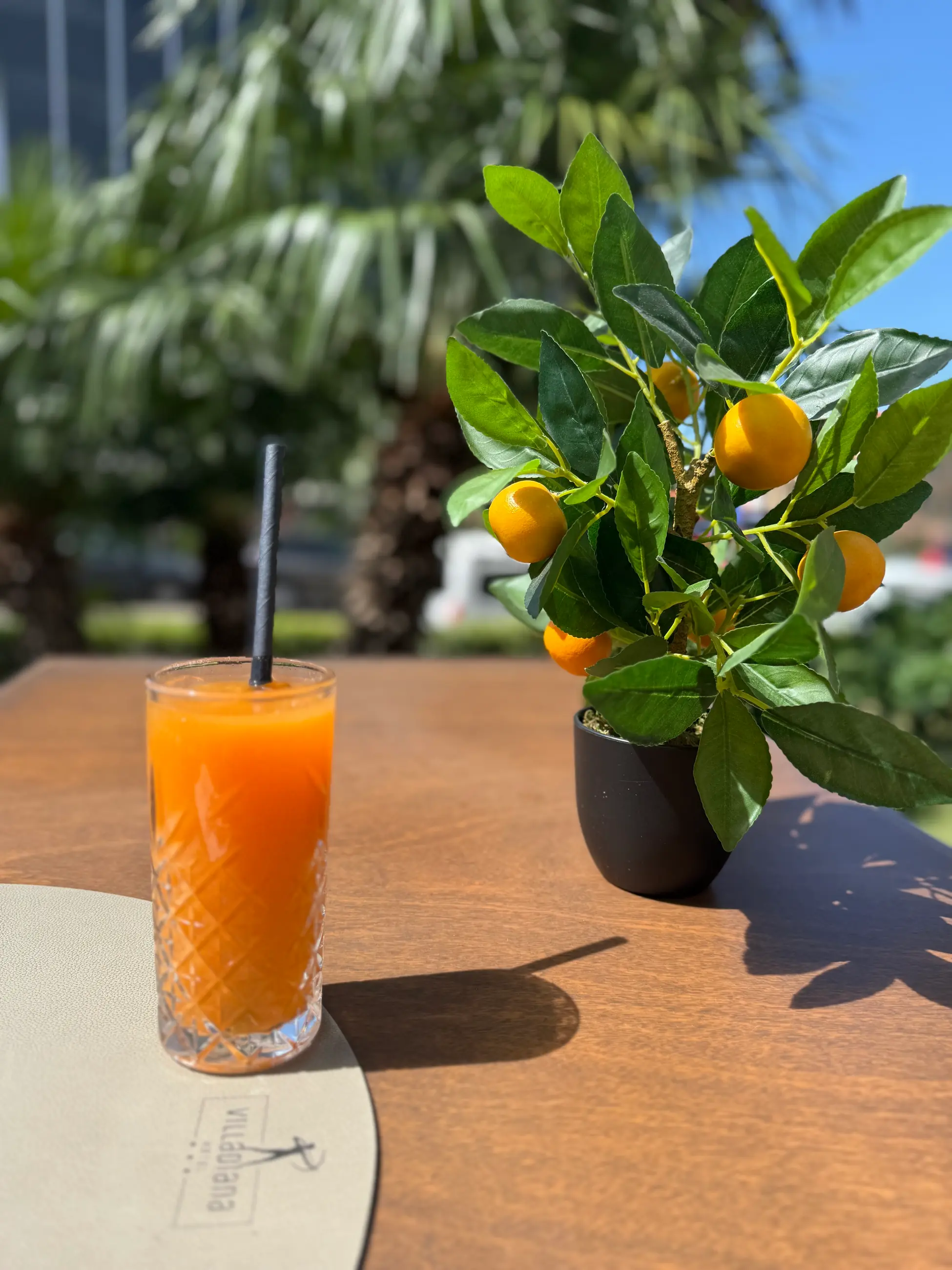 Čaša svježe cijeđenog soka na stolu u vrtu, Pizzeria Villa Diana, Lučac, Split